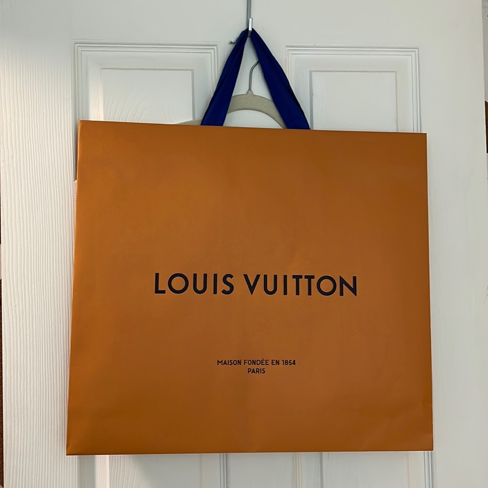 Louis Vuitton carry bag